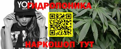 ECSTASY Лесосибирск